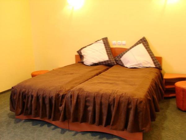 Pension Teleptean Ocna Sugatag Room photo