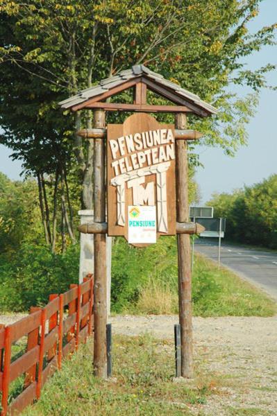 Pension Teleptean Ocna Sugatag Exterior photo