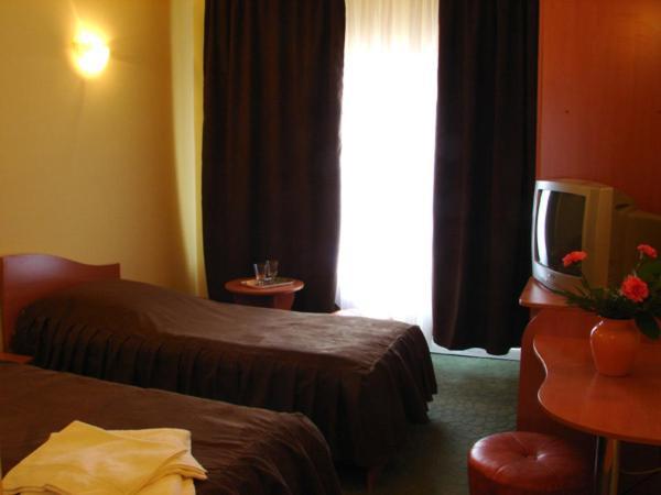 Pension Teleptean Ocna Sugatag Room photo